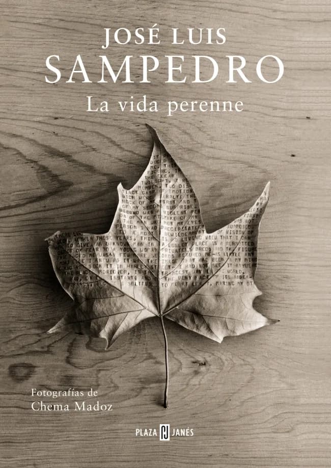 Portada — PLAZA & JANES (ISBN 9788401347344)