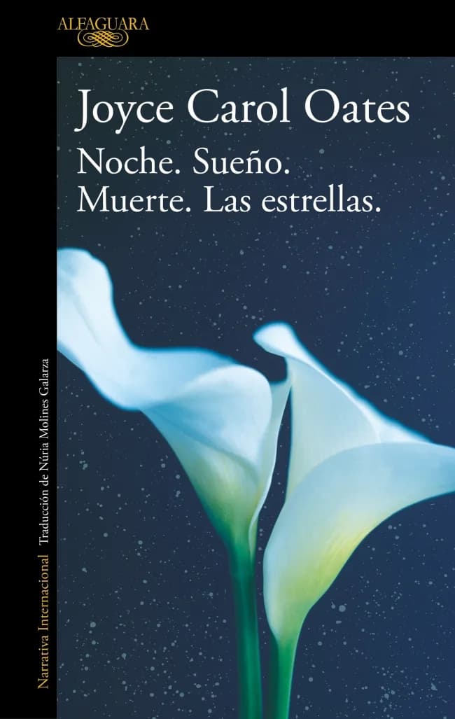 Portada — ALFAGUARA (ISBN 9788420455556)