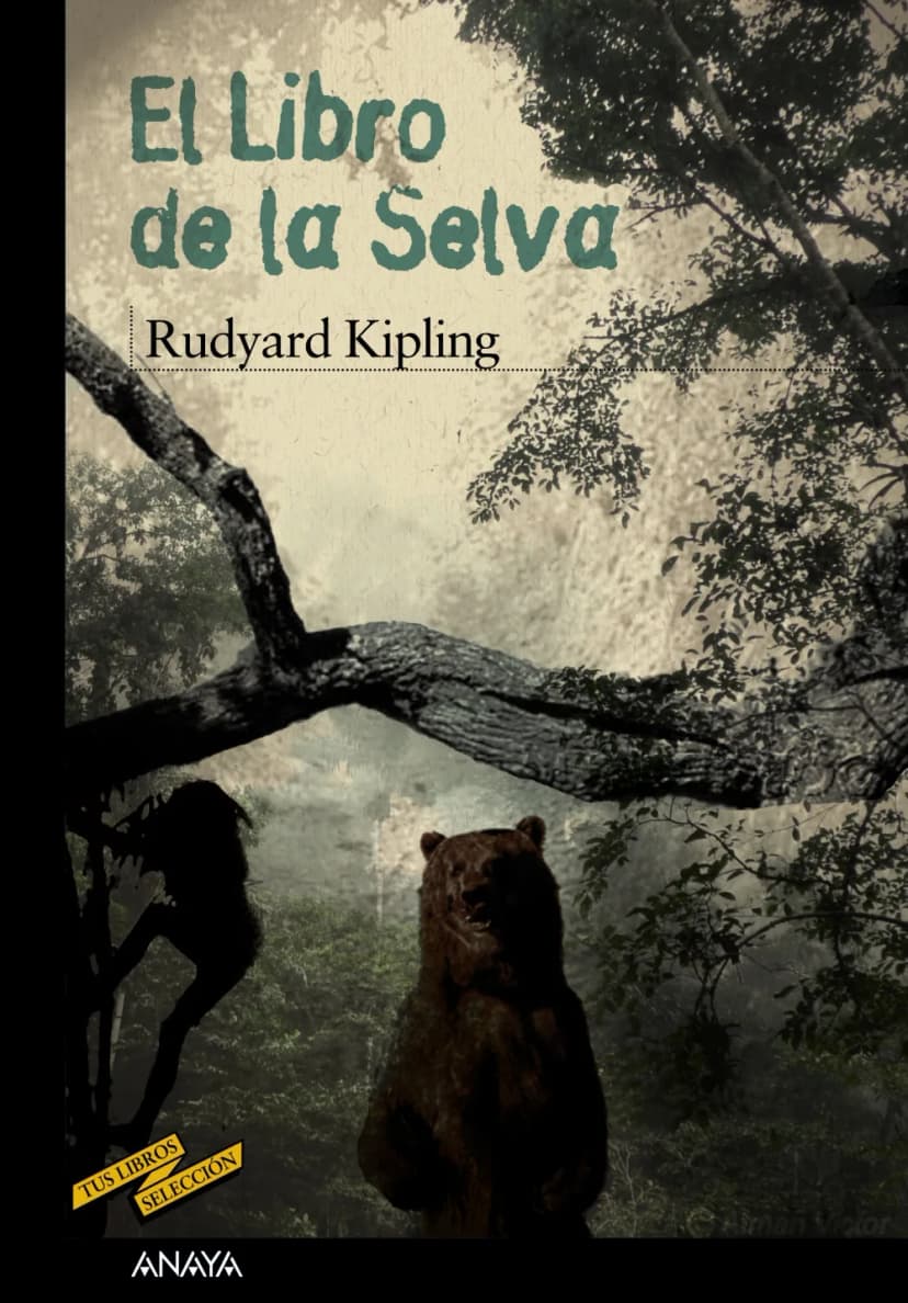 Portada — ANAYA INFANTIL Y JUVENIL (ISBN 9788466795203)