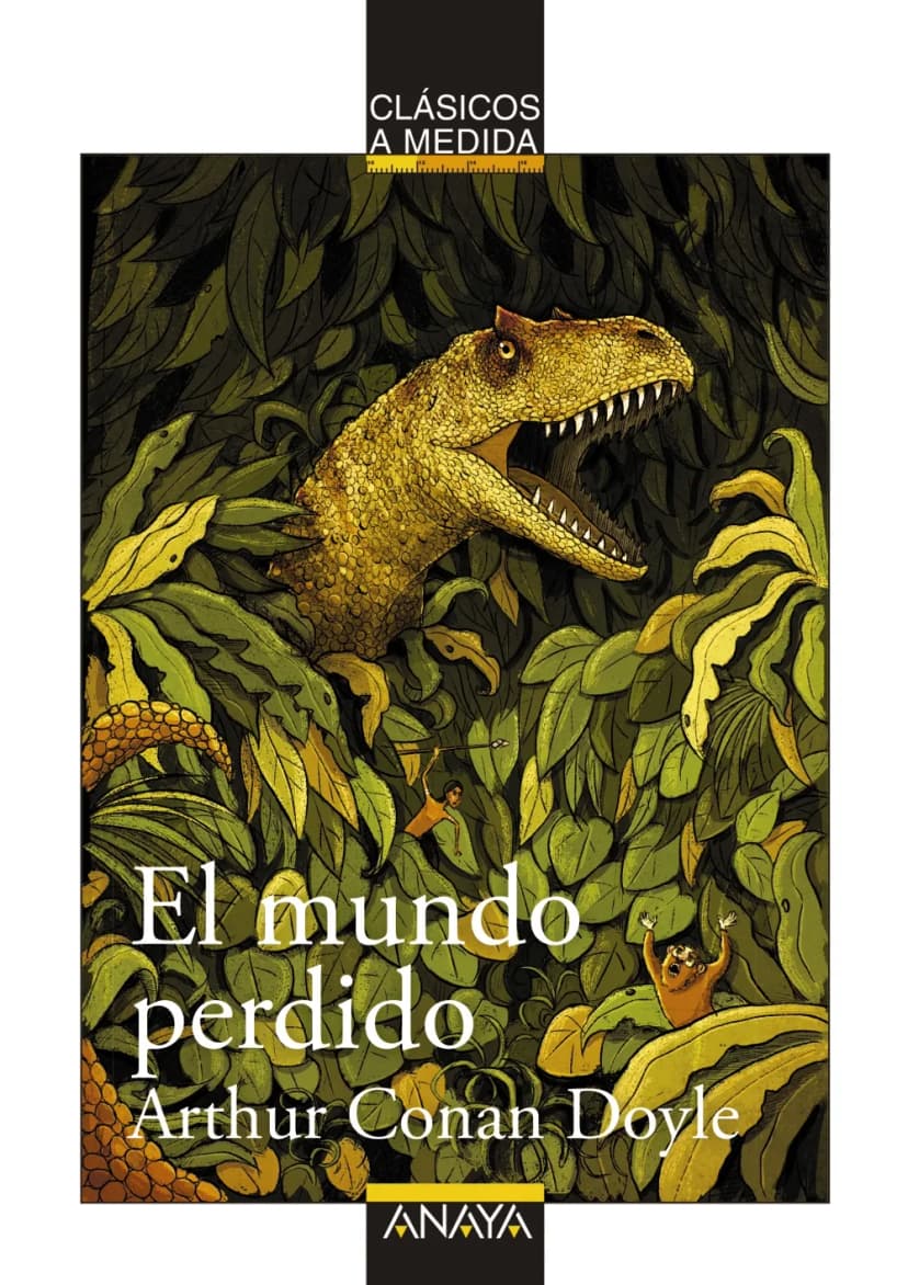 Portada — ANAYA INFANTIL Y JUVENIL (ISBN 9788469847992)
